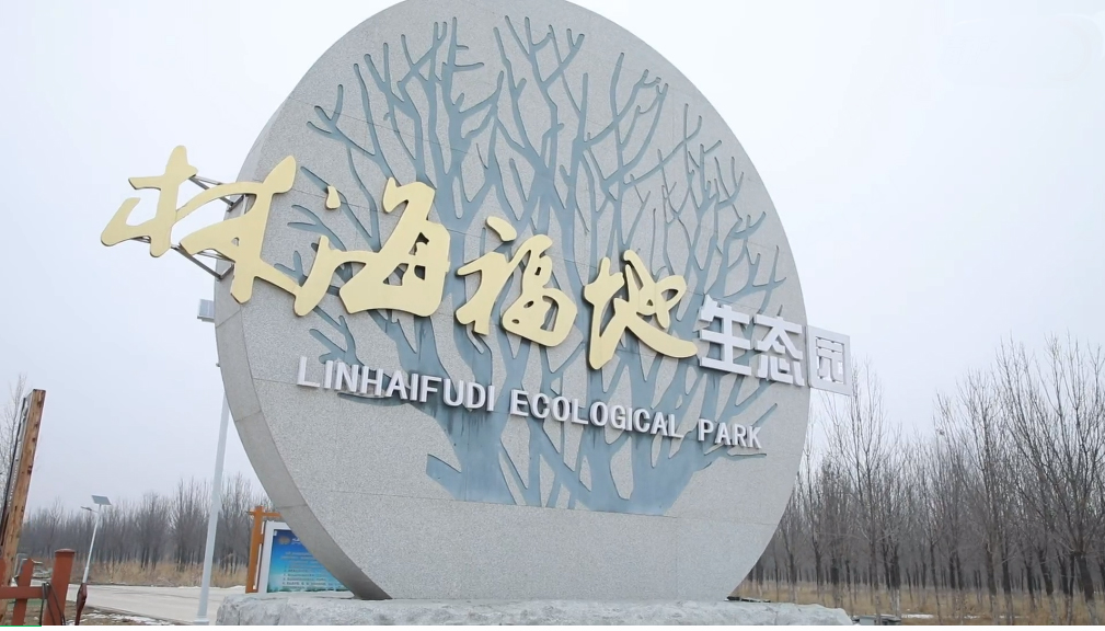 园区展示