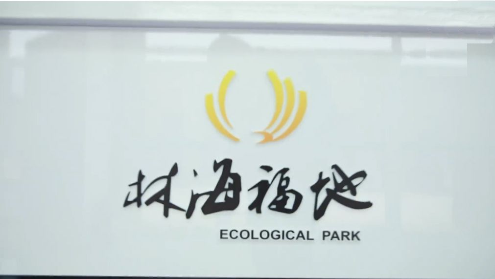 园区展示